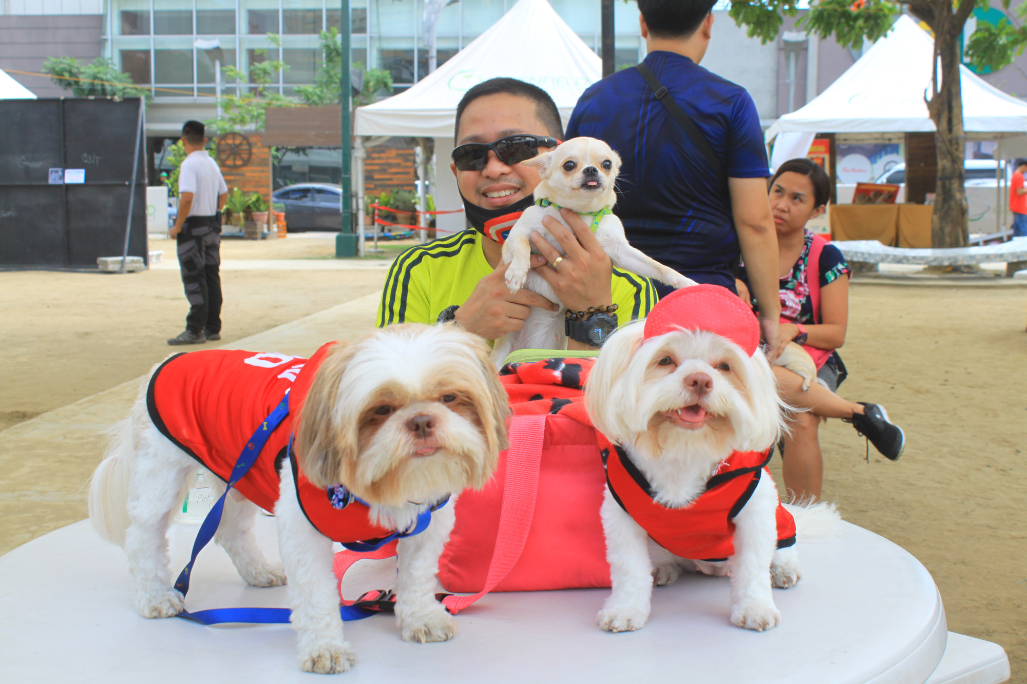 Dogs-at-Central-Park-1