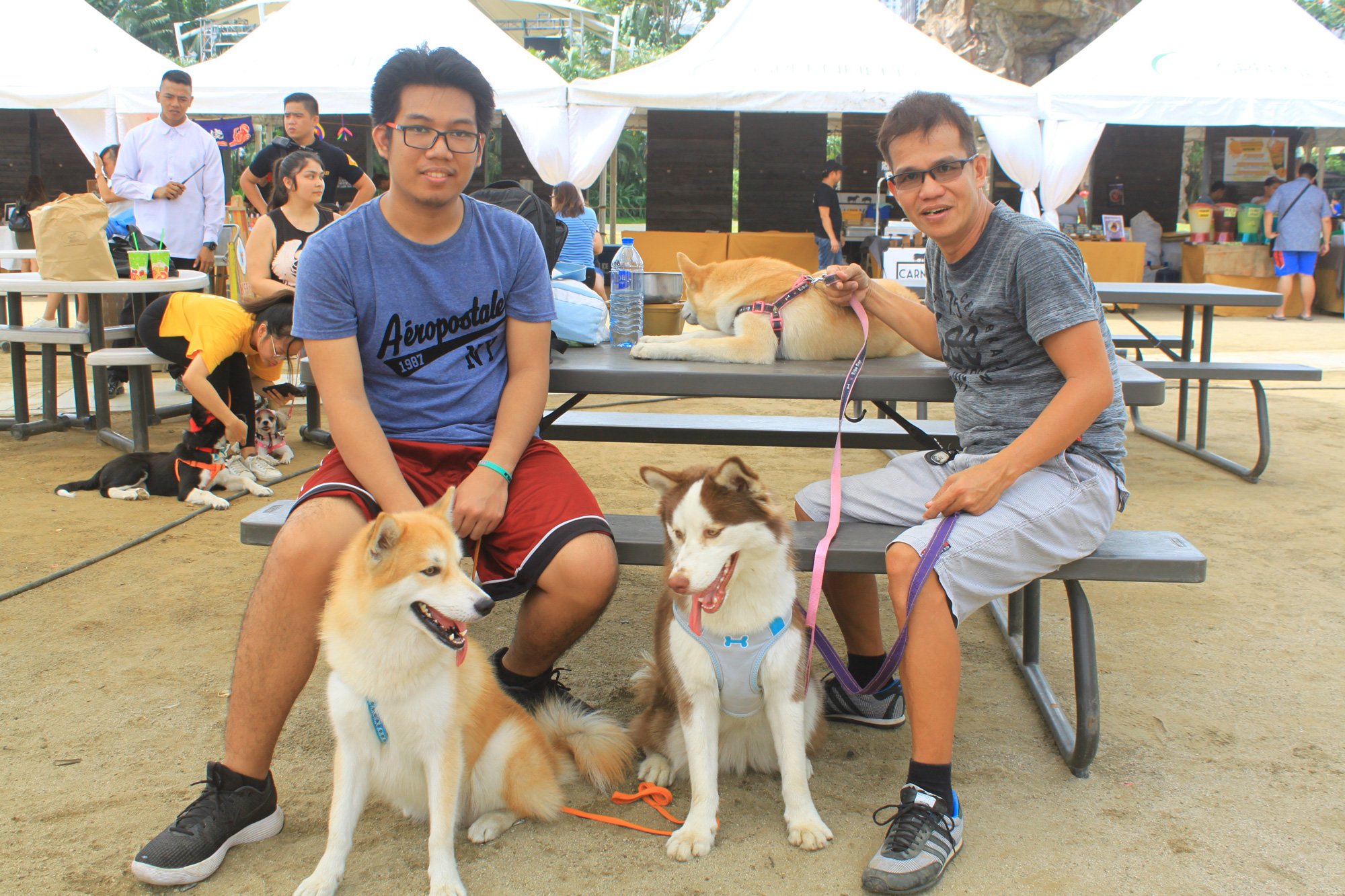 Dogs-at-Central-Park-2