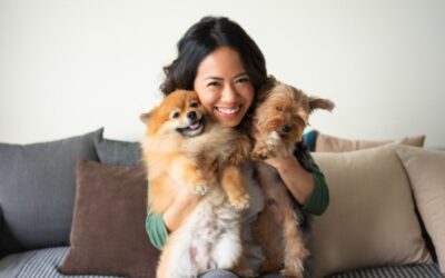 Pup Culture: Caring For Your Dog In Your Condo