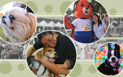 Dog parks (and dog-friendly parks) in Manila where you and your pup can hang out