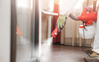 How To Keep Pests Away From Your Office For Lease In Mandaluyong