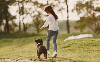 Pet-Friendly Activities in Your Subdivision in Laguna