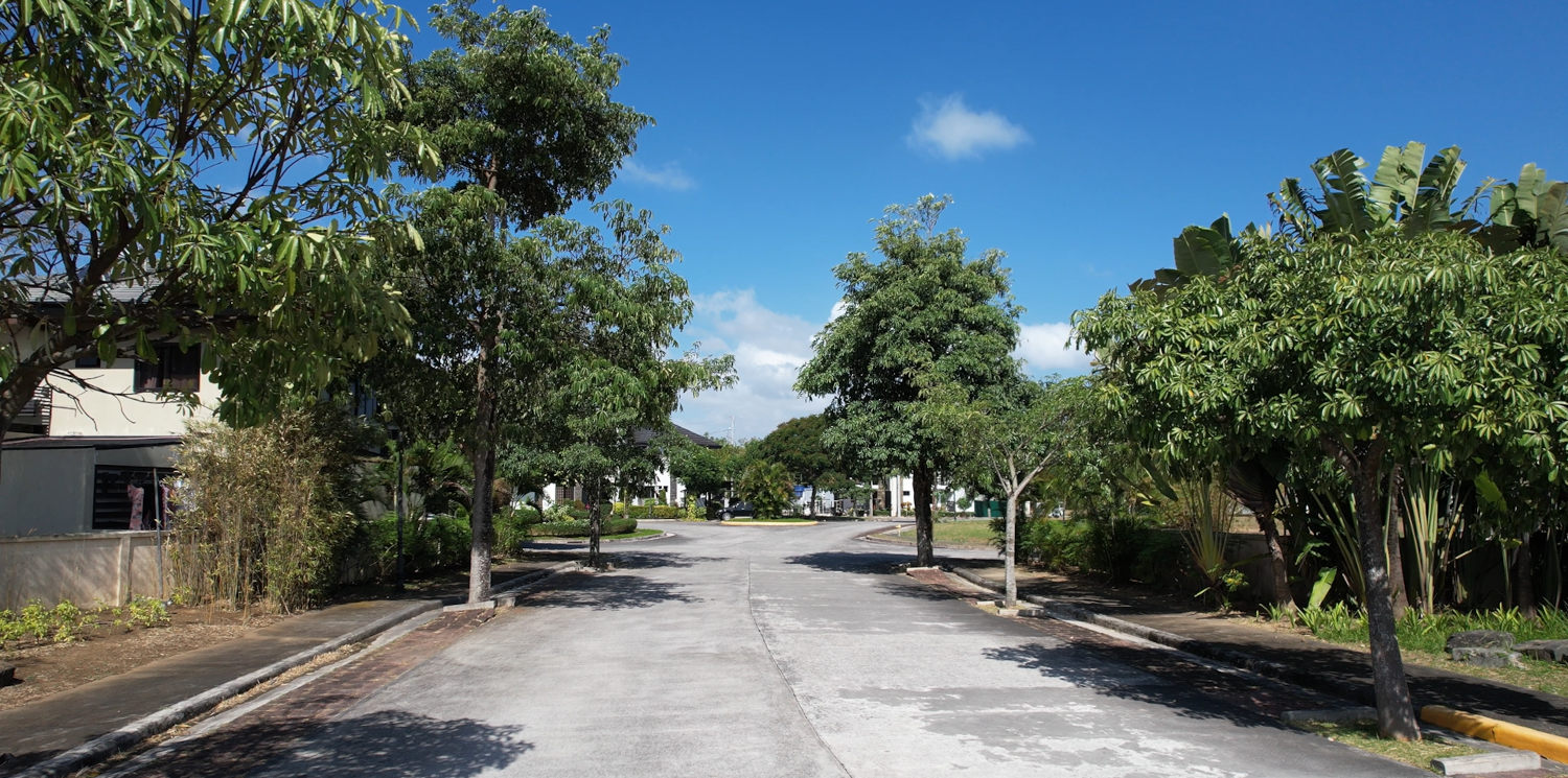 solen residences tree lined wide road
