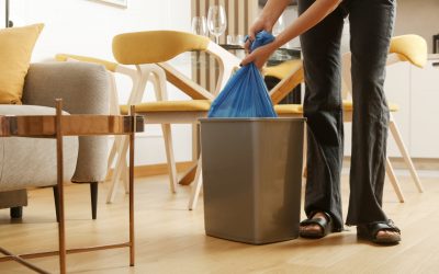 New Year’s Resolutions for a Greener Laguna Home