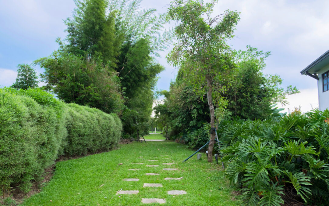 How to Create a Low-Allergen Environment in Your Laguna Home