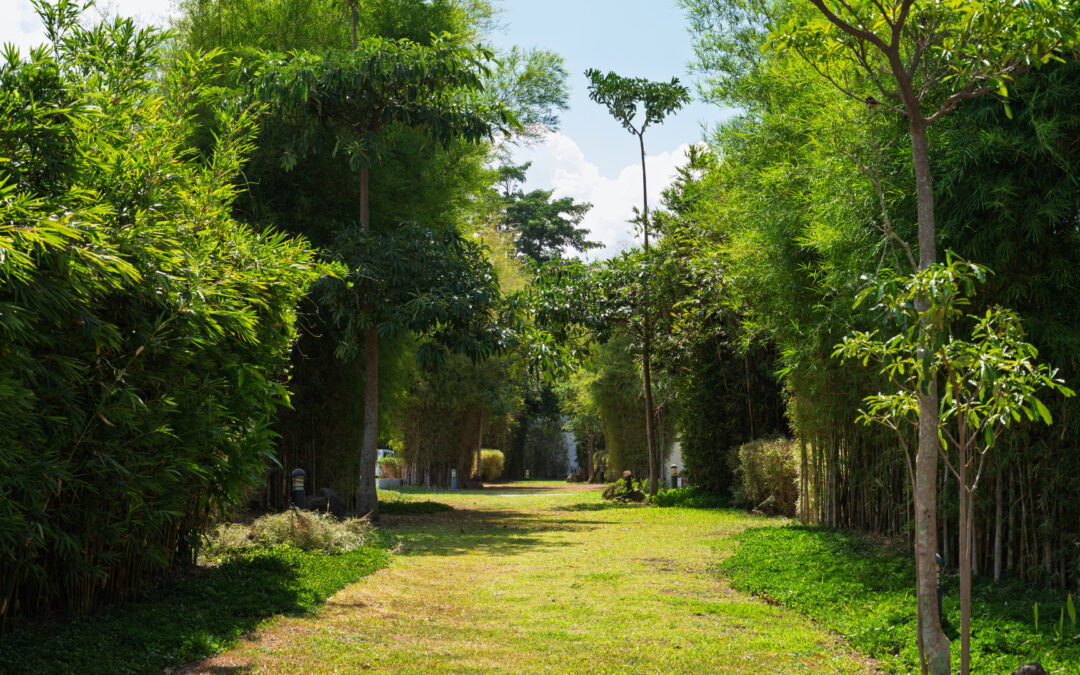 How to Manage Your Time Efficiently in a Work-From-Home Setup in Laguna