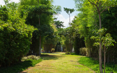 How to Manage Your Time Efficiently in a Work-From-Home Setup in Laguna