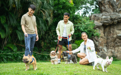 The Future of Urban Living Is Wellness-Driven